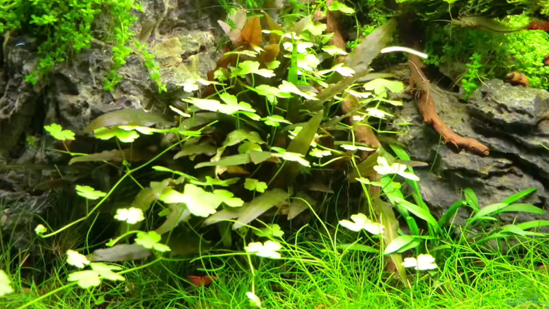 22.09.2013 von Walde (25)