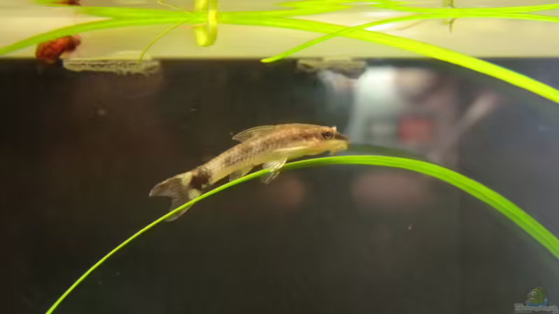 22.09.2013 von Walde (45)