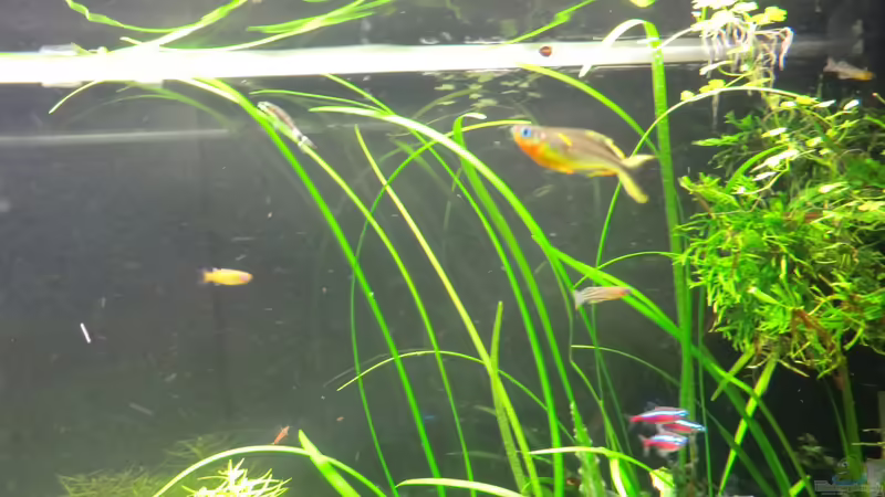 22.09.2013 von Walde (46)