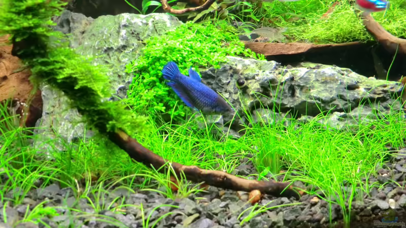 22.09.2013 von Walde (47)