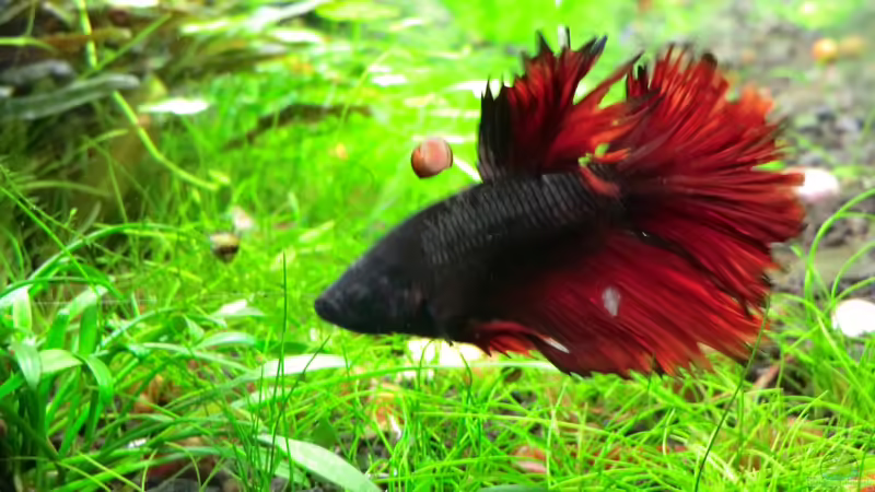 22.09.2013 von Walde (49)