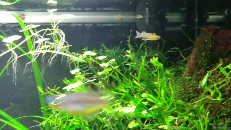 22.09.2013 von Walde (51)