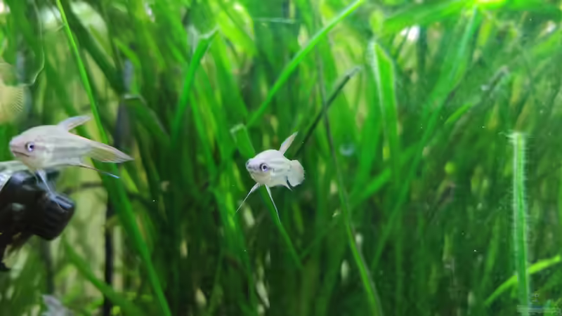 22.09.2021_02 von Pegnitz (3)