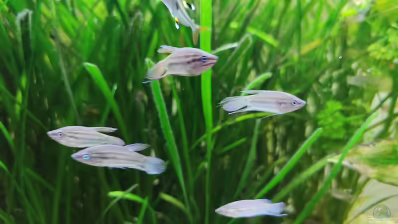 22.09.2021_03 von Pegnitz (4)