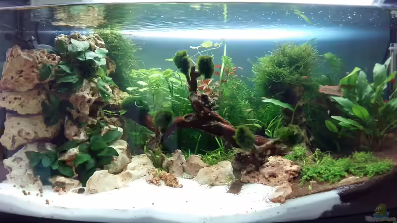 22.10  von Spawngrow (8)