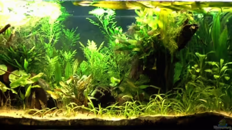 22-10-09 von Mario74 (11)