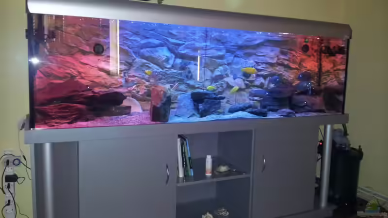 22.10.12 Der Anfang mit Farbfolien von Lutz K (2)