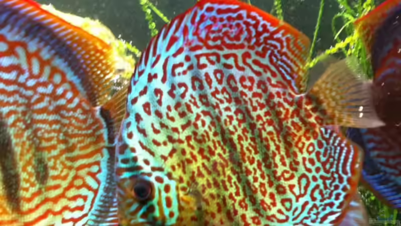 22.10.2011 von Dani B (45)