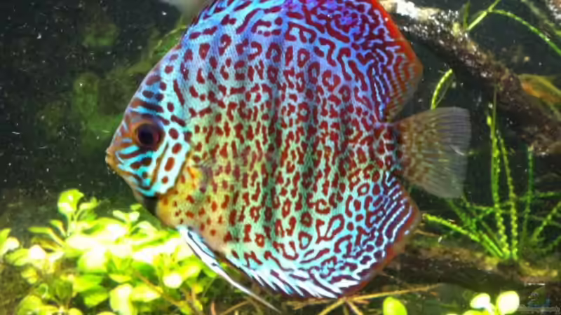 22.10.2011 von Dani B (46)