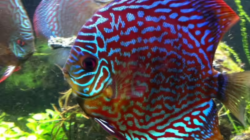 22.10.2011 von Dani B (49)