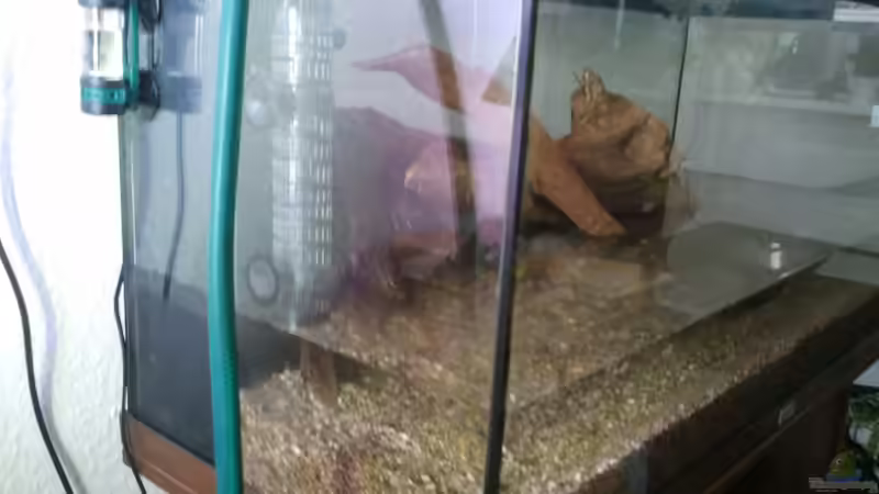 22.10.2012 + Blasenzähler von Alexander Budzien (15)