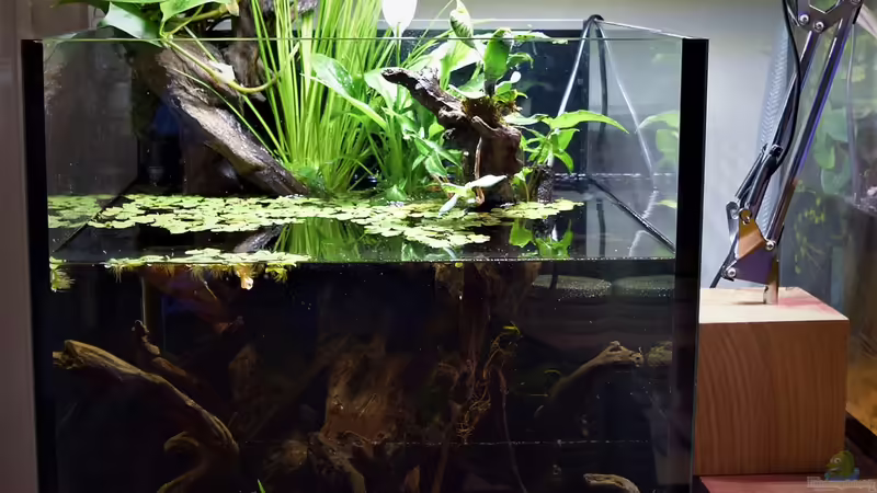 22.10.2020 von Junglist (3)