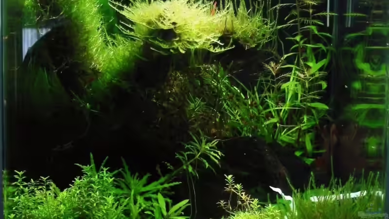 22.11.08 von quickmike (5)