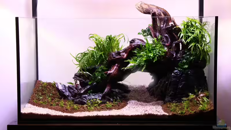 22.11.13 unbefüllt von Bjarke (2)