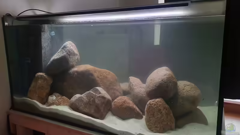 22.11.20 von Aqua fan (4)