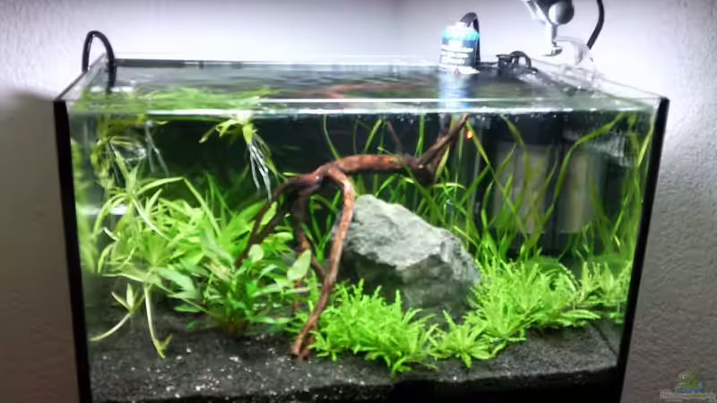 22.11.2009 von lützkopf (9)