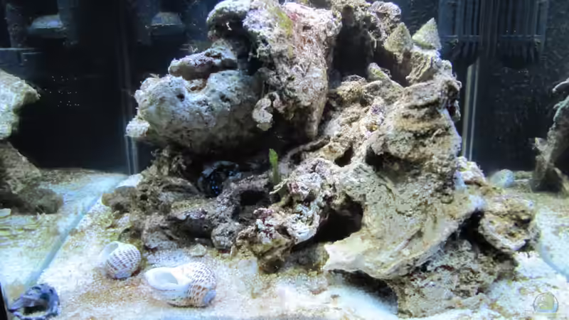 22.11.2012 von Haens84 (6)