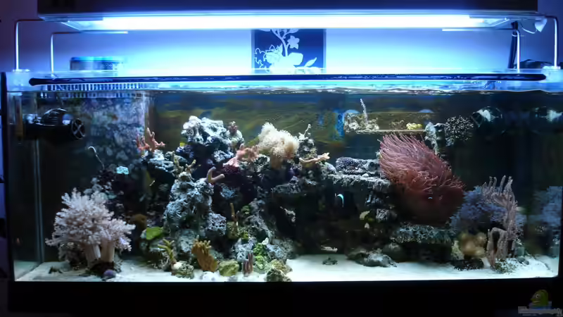 22.11.2012 von Jane Vogeler (26)