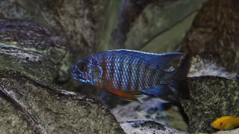 22.11.2014 von Marco O. (12)