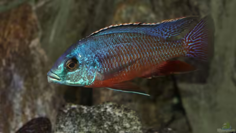 22.11.2014 von Marco O. (13)