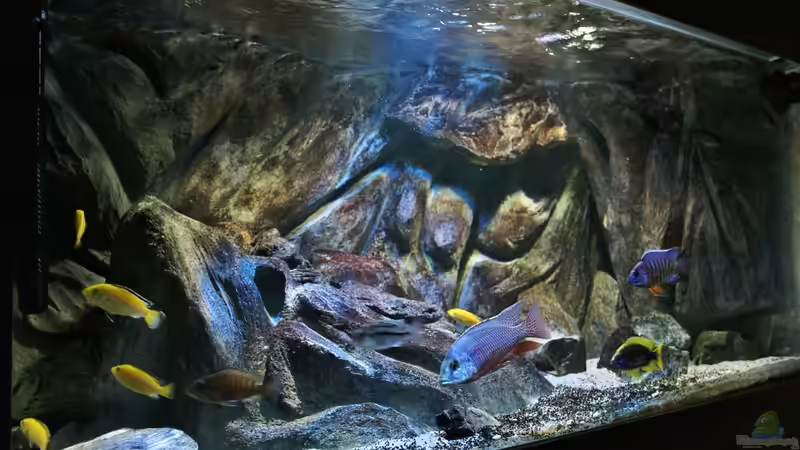 22.11.2014 von Marco O. (14)