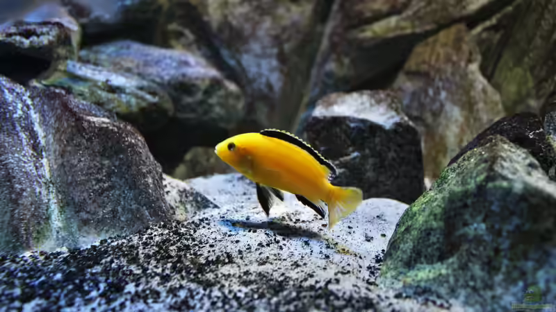 22.11.2014 von Marco O. (15)