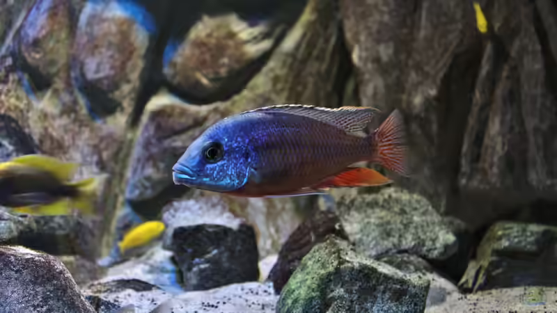 22.11.2014 von Marco O. (17)