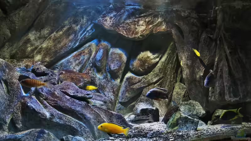 22.11.2014 von Marco O. (18)