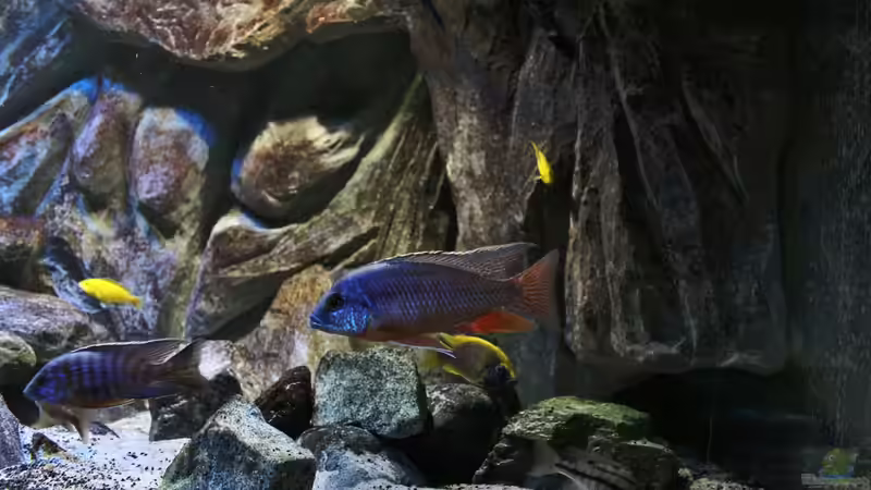 22.11.2014 von Marco O. (3)