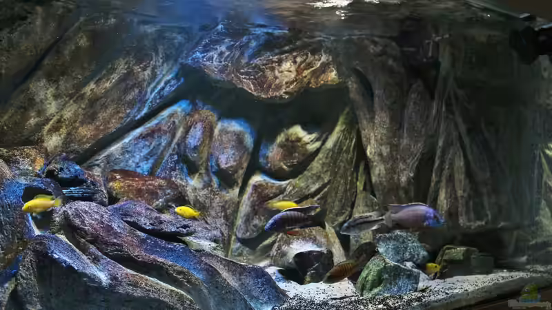 22.11.2014 von Marco O. (5)