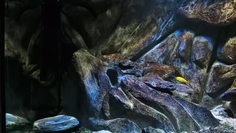 22.11.2014 von Marco O. (6)