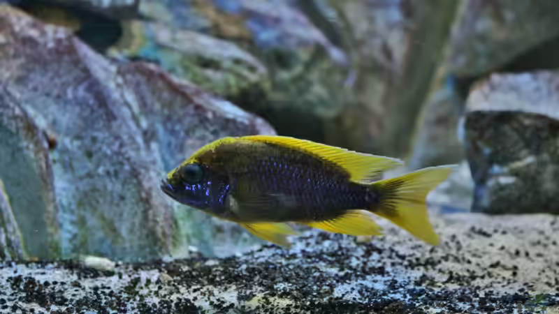 22.11.2014 von Marco O. (8)