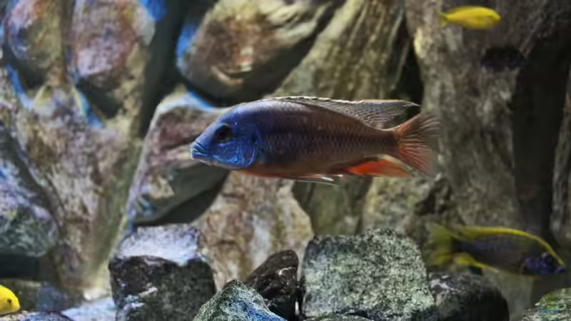 22.11.2014 von Marco O. (9)