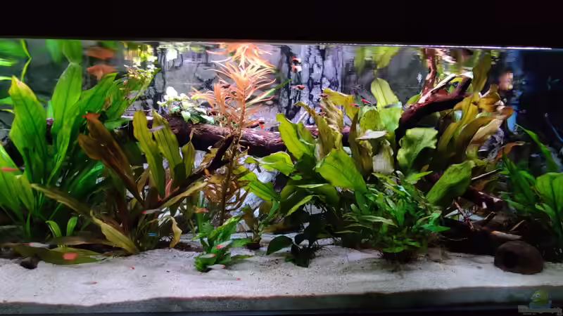 22.12.19 von Woidma (2)