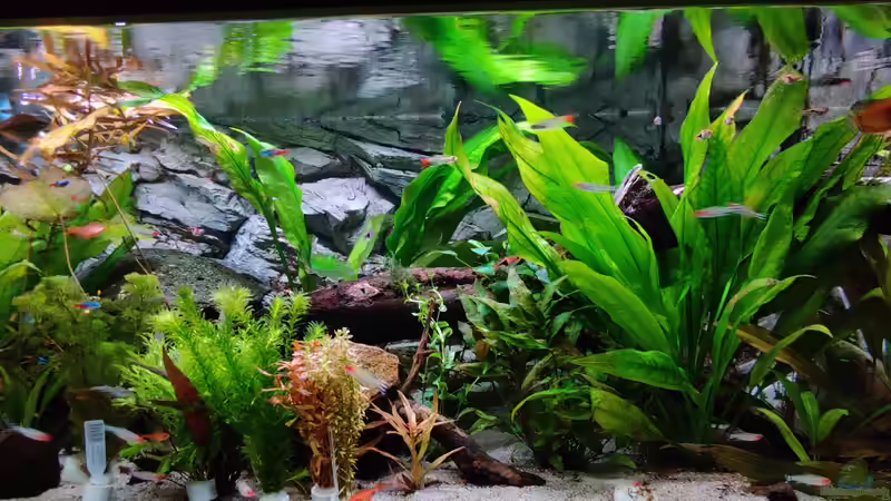 22.12.19 von Woidma (3)