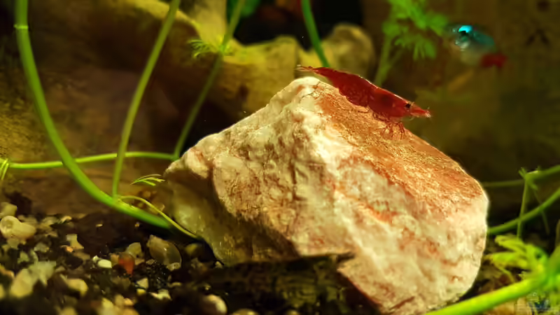 22.12.2018 von Kevin Engelsberger (16)