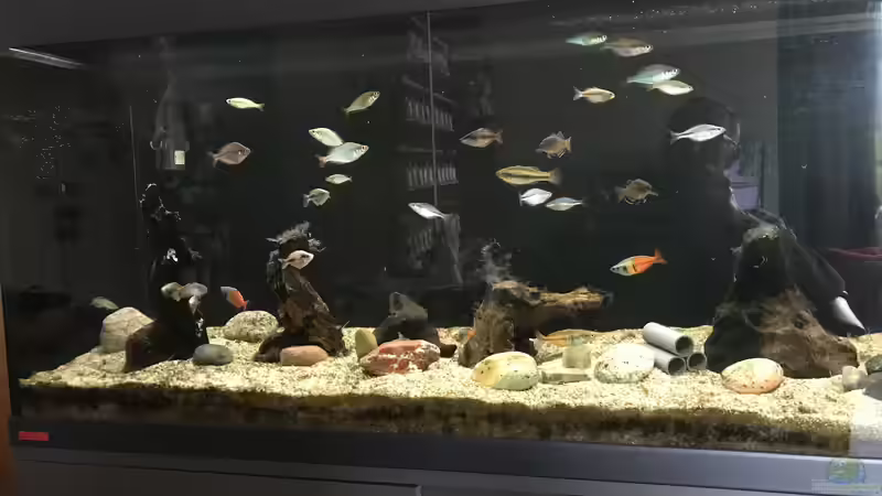 22.12.23 nach entfernen der alten Bepflanzung von herkla (9)