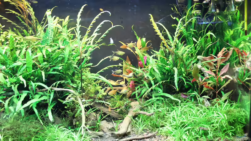 22.3.2017 von MadMarkx (2)