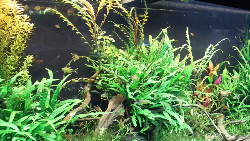 22.3.2017 von MadMarkx (3)