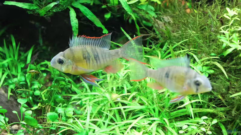 22.3.2017 von MadMarkx (7)