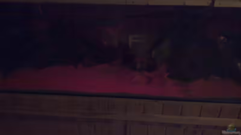 22:30 uhr bis 23:00 uhr von Antonio Di Simone (7)