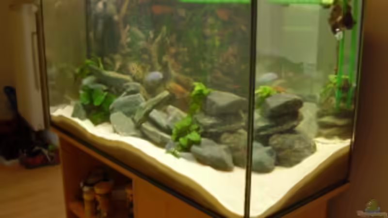 22.4.2008 von LaChica (8)