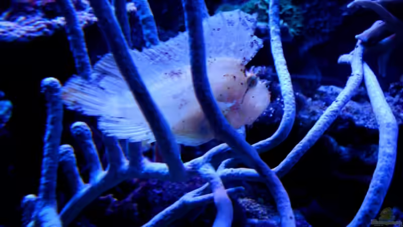 22.4.2010 von Sveni (12)