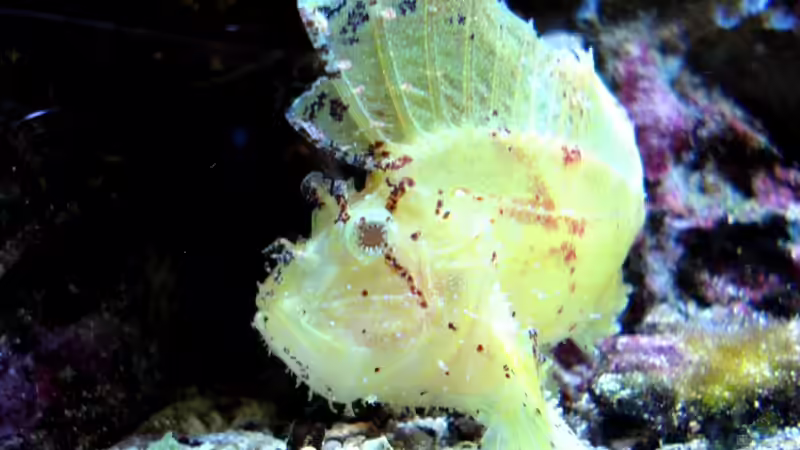 22.4.2010 von Sveni (14)