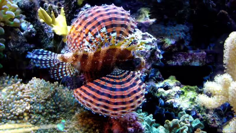 22.4.2010 von Sveni (15)