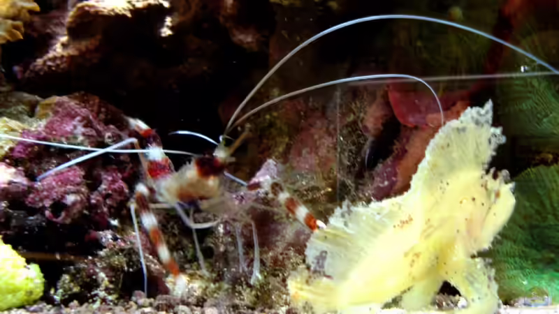 22.4.2010 von Sveni (17)