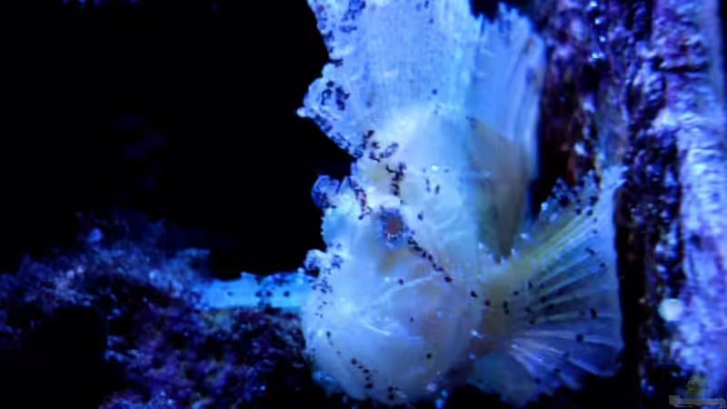 22.4.2010 von Sveni (19)