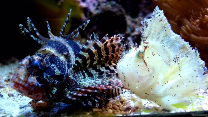 22.4.2010 von Sveni (20)