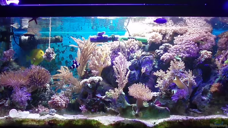 22.9.07 von Eva Göschl (1)