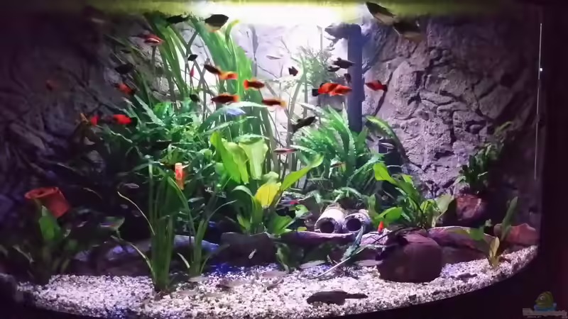 22 Uhr hinteres licht wird abgeschaltet von Steffen und Felix (34)